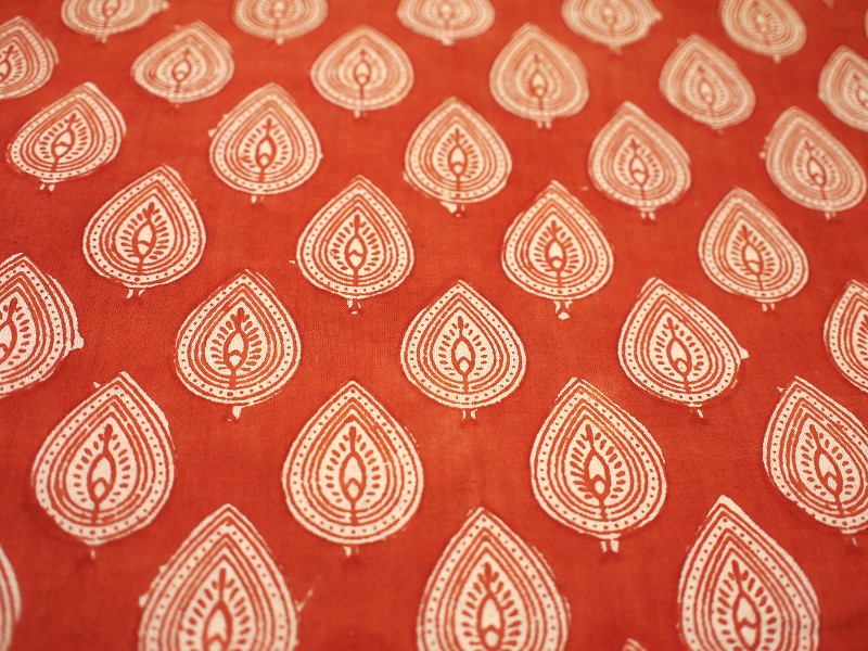 Tissu Coton (imprimé) TW524-2